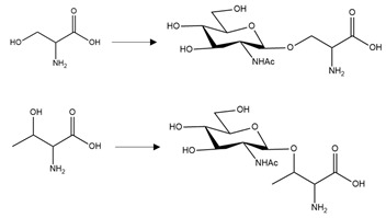 graphic file with name brainsci-10-00232-i006.jpg