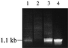 FIG. 5