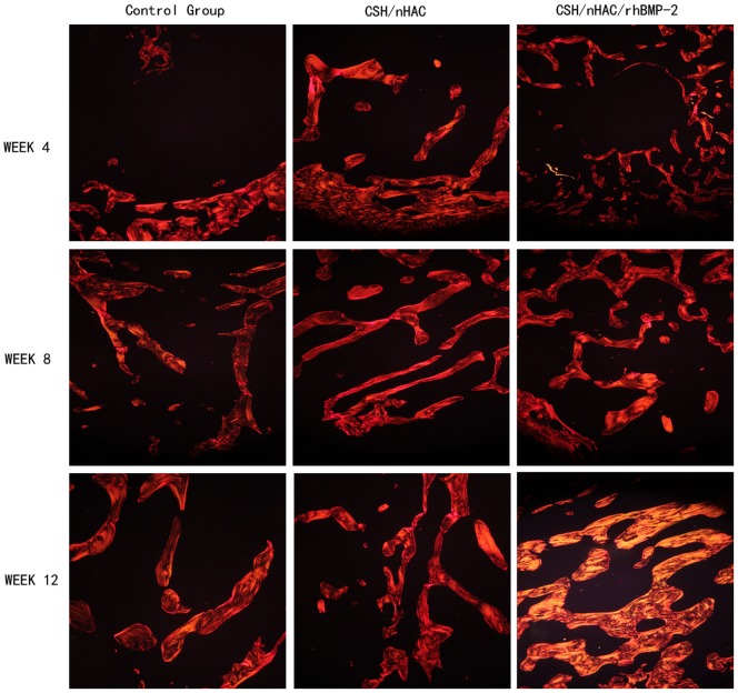 Figure 12