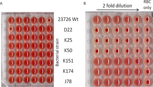 FIG 2