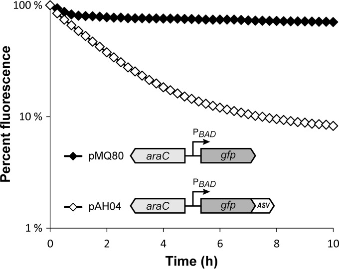 FIG 2