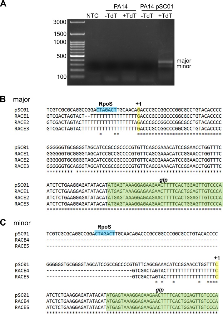 FIG 8