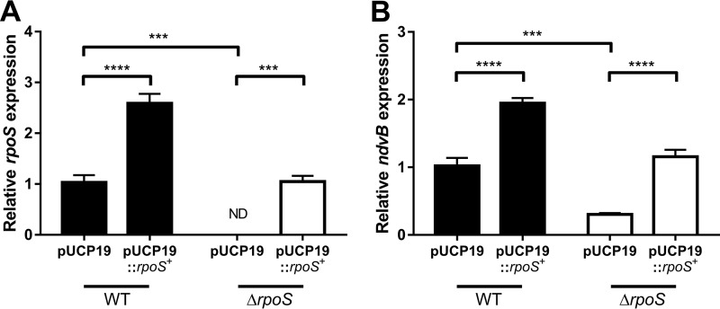 FIG 6