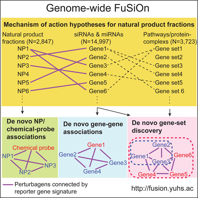 graphic file with name nihms-1535365-f0006.jpg