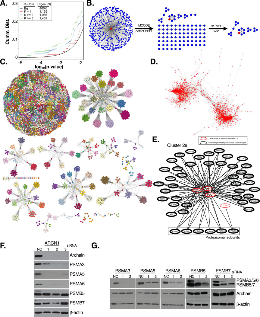 Figure 3: