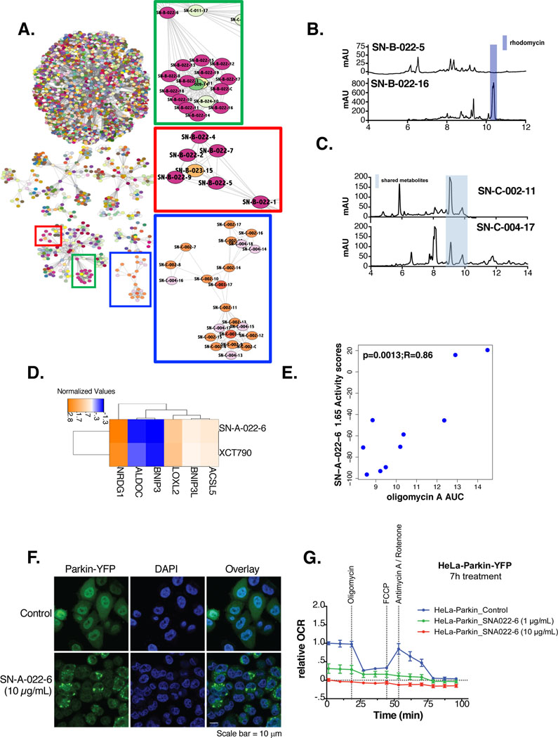 Figure 4: