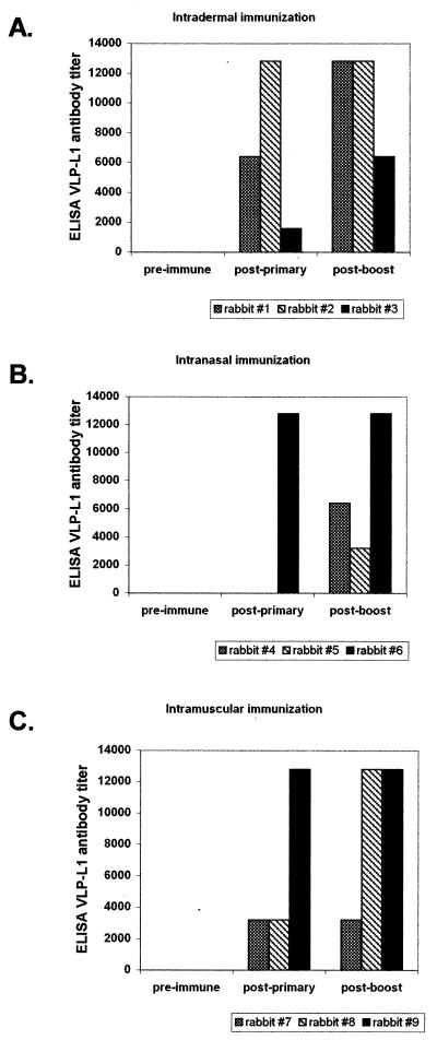 FIG. 3.