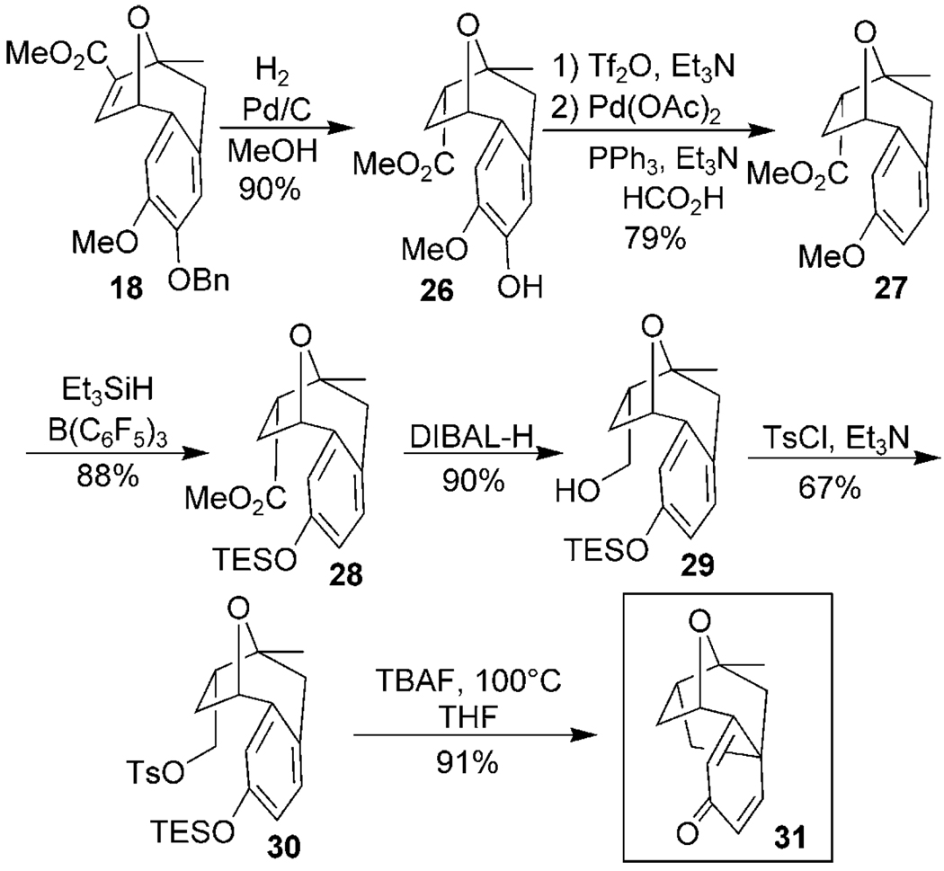 Scheme 4