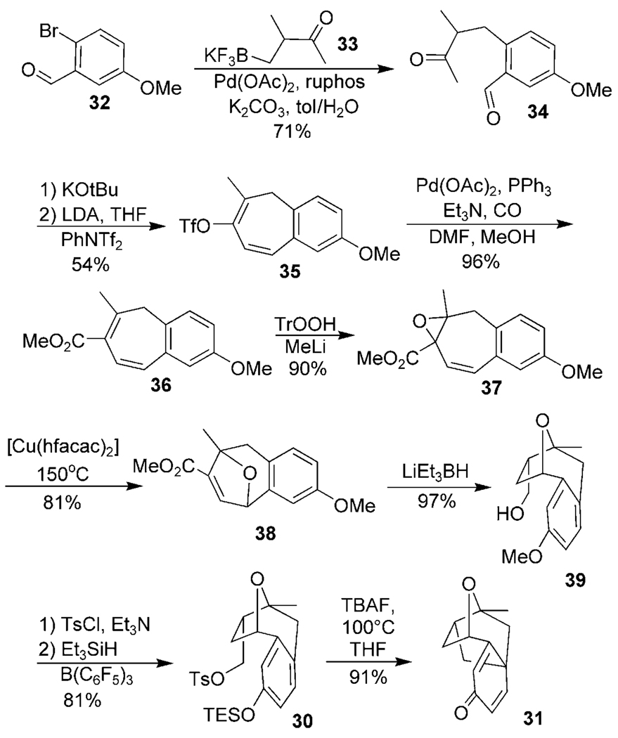 Scheme 5