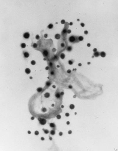 FIG. 20