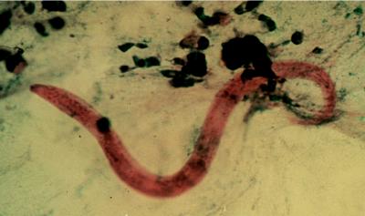 FIG. 10