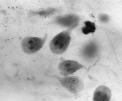 FIG. 9