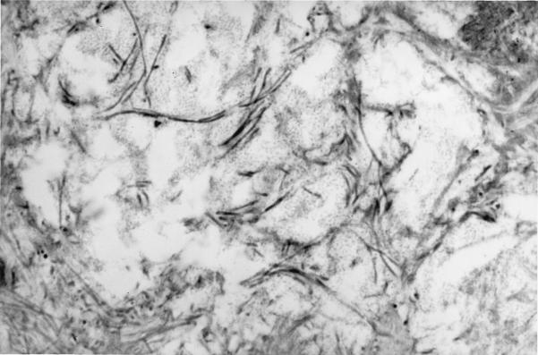 FIG. 7