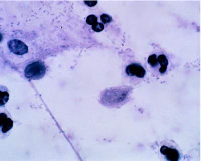 FIG. 8
