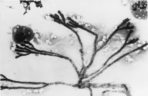 FIG. 27