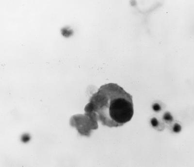 FIG. 36