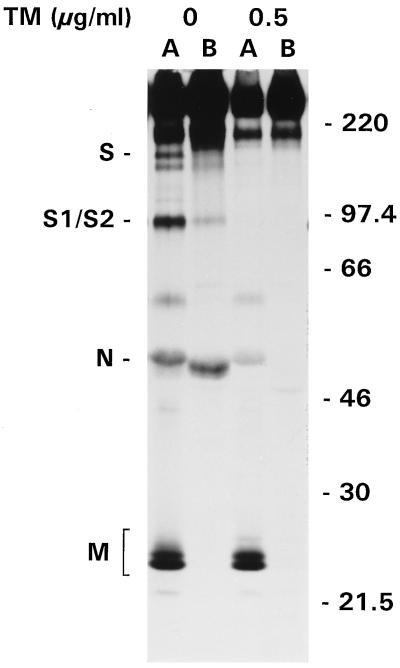 FIG. 3