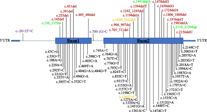 Fig. 4