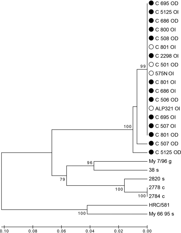 FIG 6