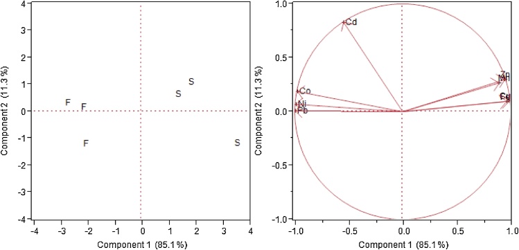 Fig. 8