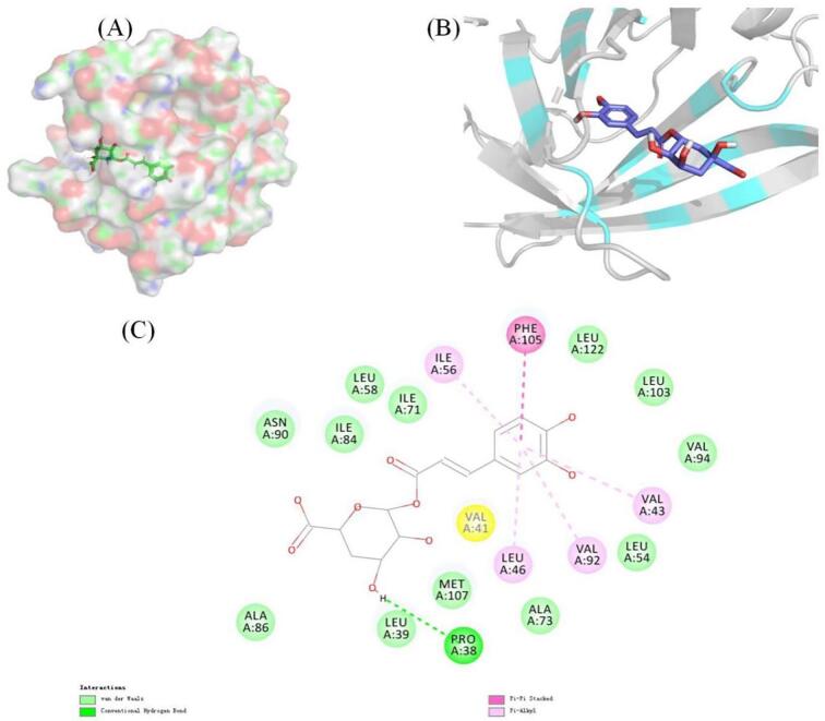 Fig. 2