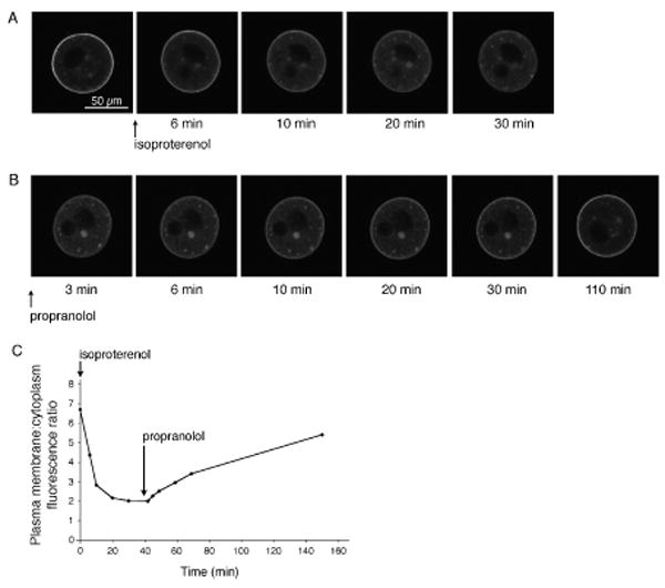 Figure two