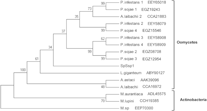 Fig 2