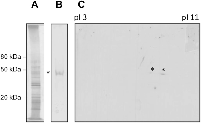 Fig 1