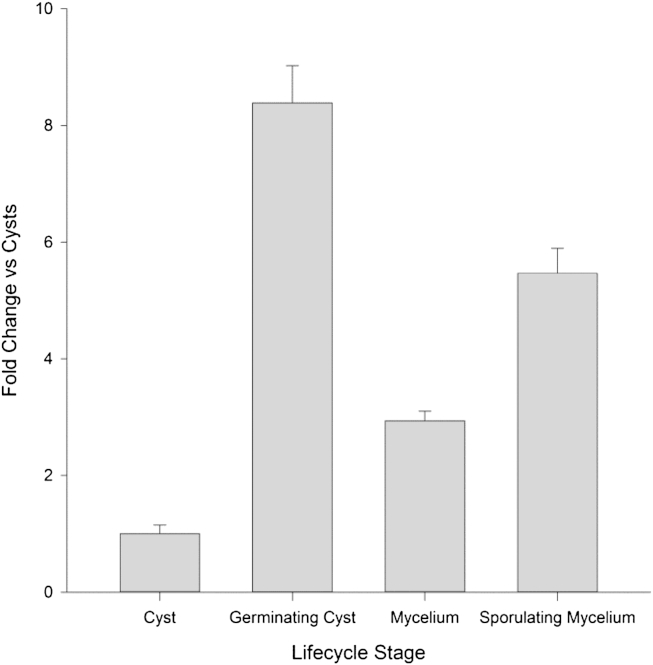 Fig 3