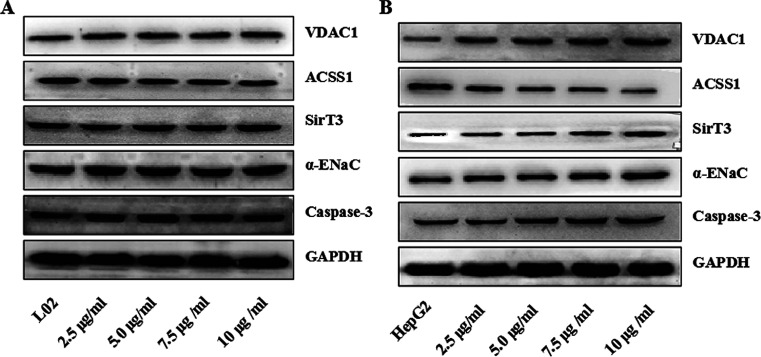 Fig. 12