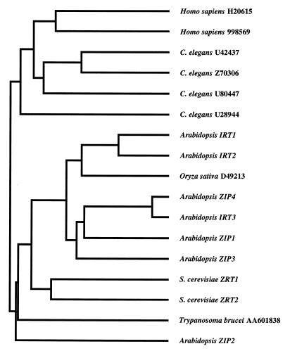 Figure 4