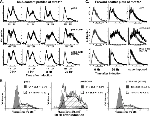 FIG. 4.