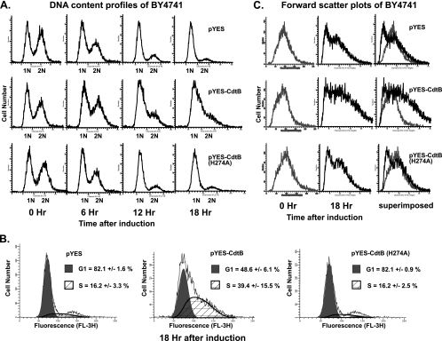 FIG. 2.