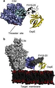 FIGURE 5.