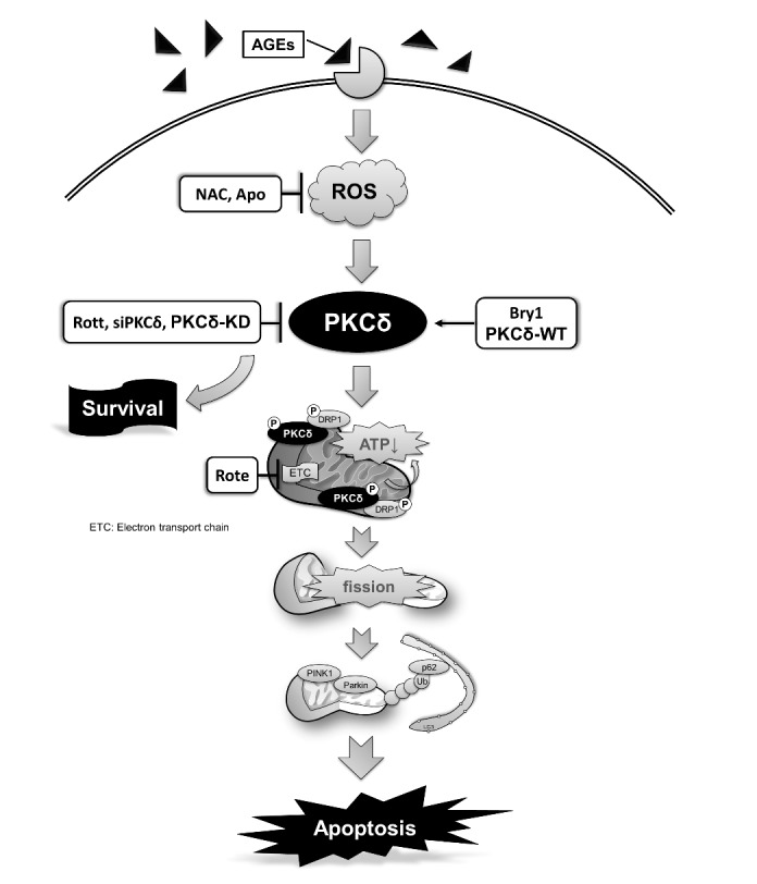 Figure 7.