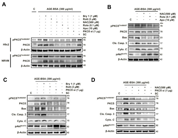 Figure 5.