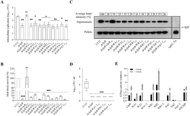 Fig 4