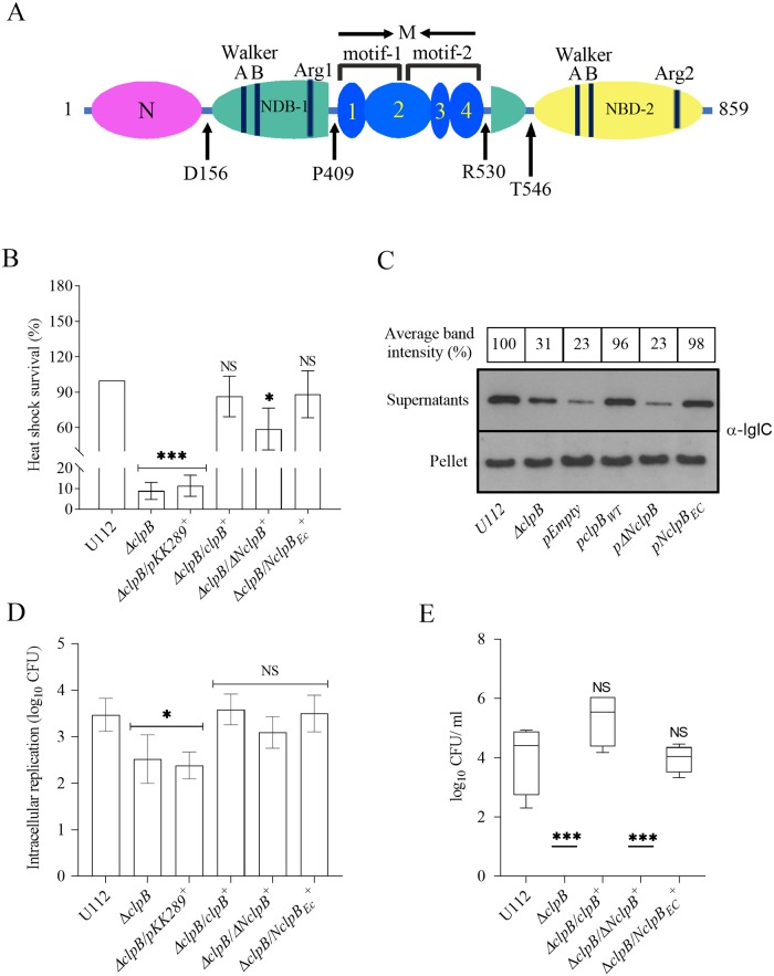 Fig 6