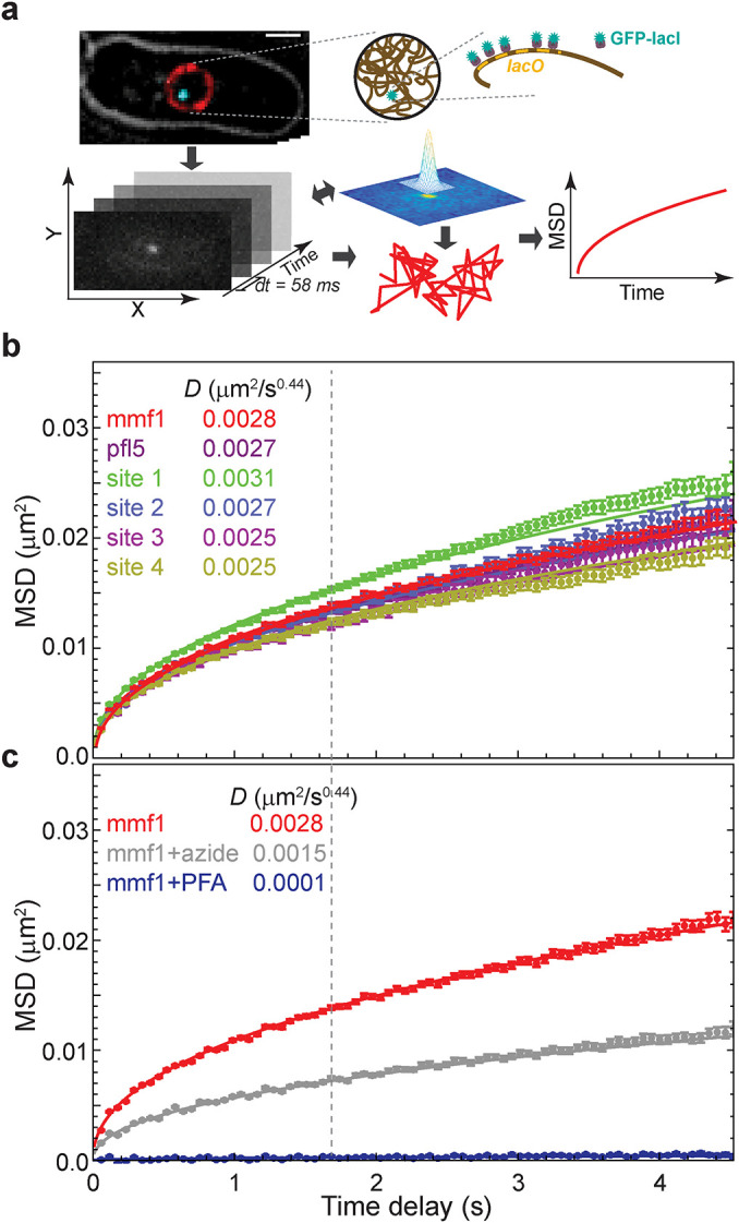 FIGURE 1: