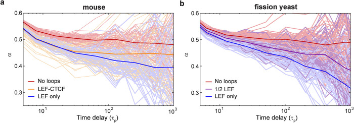 FIGURE 6: