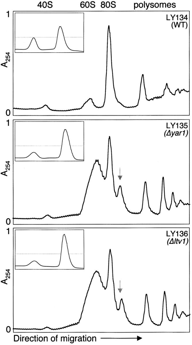 Figure 6.—