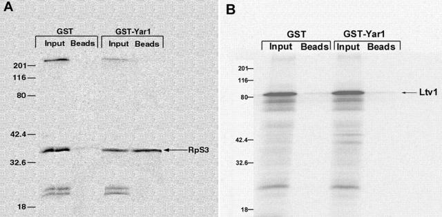 Figure 1.—