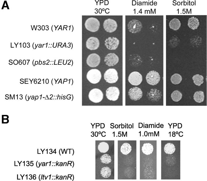 Figure 3.—