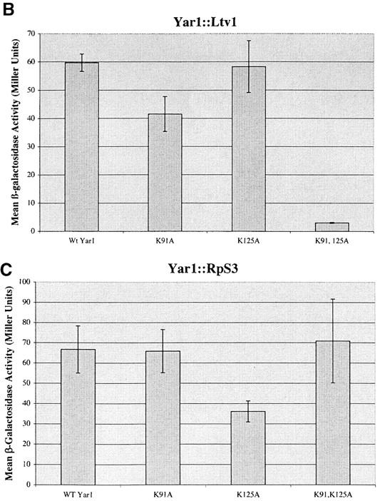 Figure 2.—