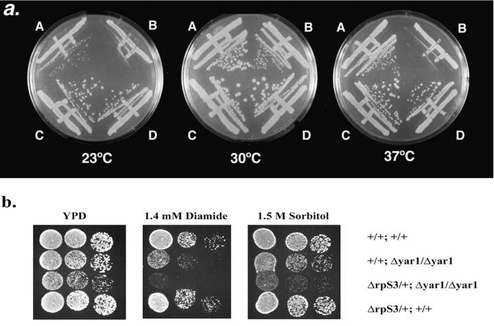 Figure 4.—