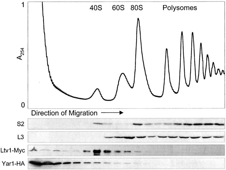 Figure 7.—