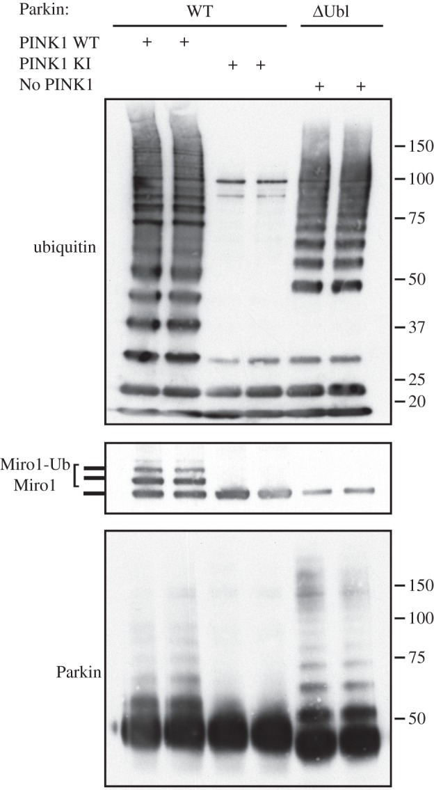 Figure 2.