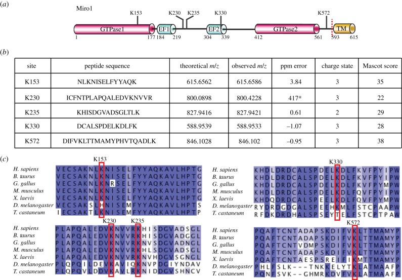 Figure 3.