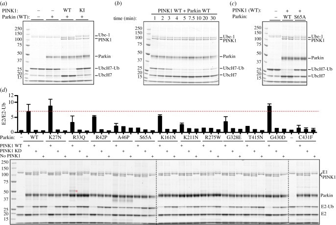 Figure 6.