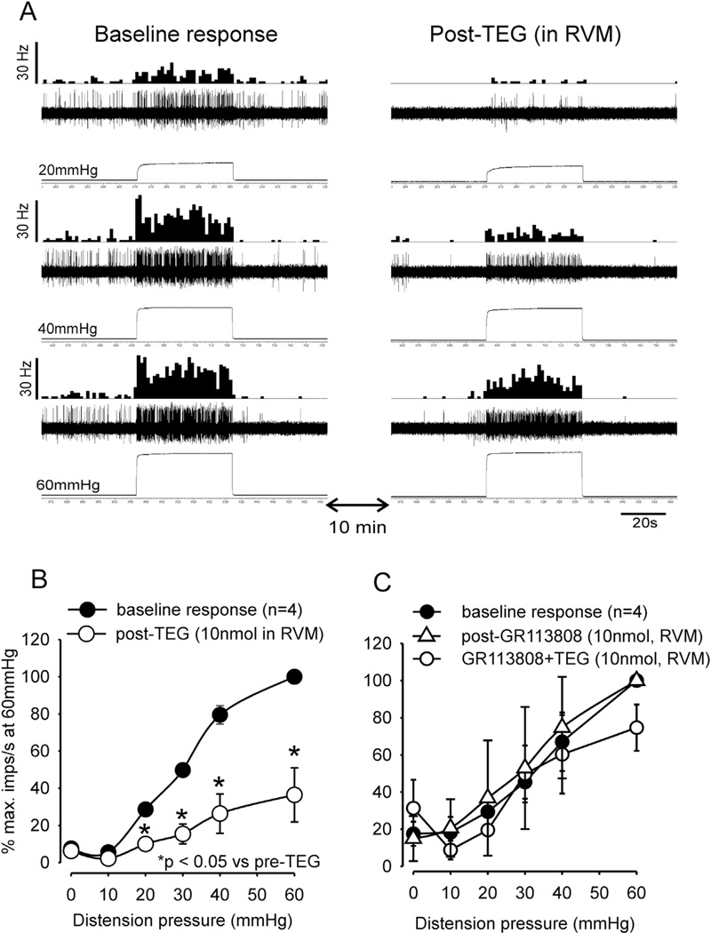 Fig. 11